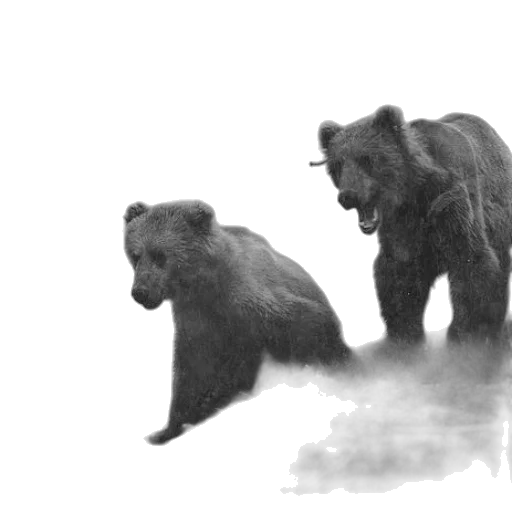 animal, creature, concept art, photorealistic transparent PNG cut-out