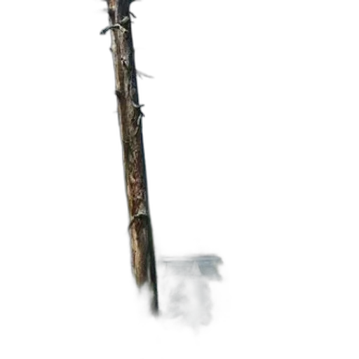 staff, weapon, sword, animal transparent PNG cut-out