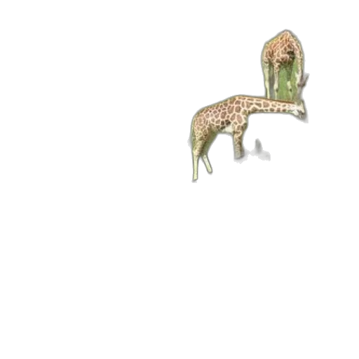 creature, animal, dragon, furniture transparent PNG cut-out