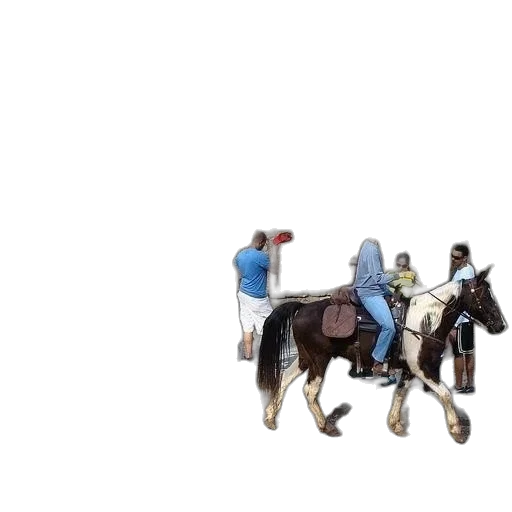 staff, animal, car, robot transparent PNG cut-out