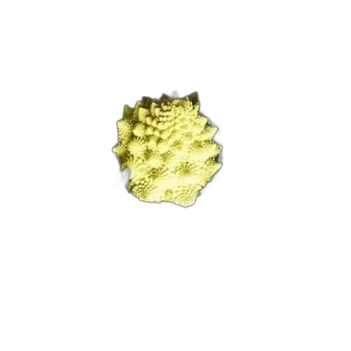 crown, jewelry, flower, food transparent PNG cut-out