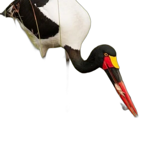 animal, staff, weapon, creature transparent PNG cut-out