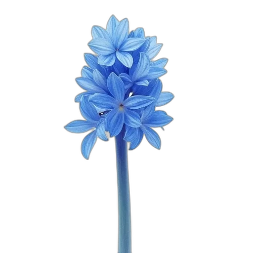 flower, staff, crown, weapon transparent PNG cut-out
