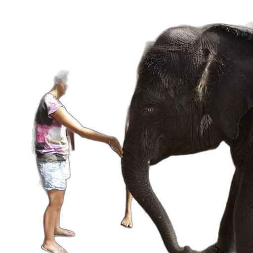 animal, creature, staff, weapon transparent PNG cut-out