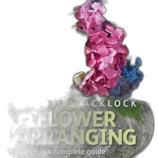 flower, arranging, complete, guide transparent PNG cut-out