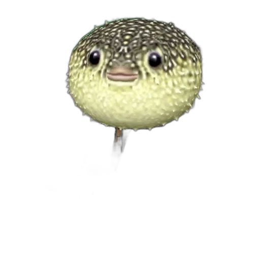animal, creature, staff, hat transparent PNG cut-out