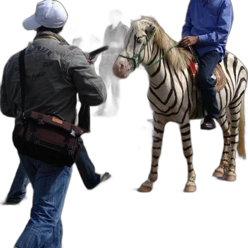animal, jacket, concept art, photorealistic transparent PNG cut-out