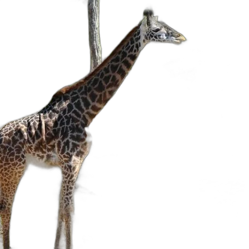 animal, staff, creature, 3d render transparent PNG cut-out