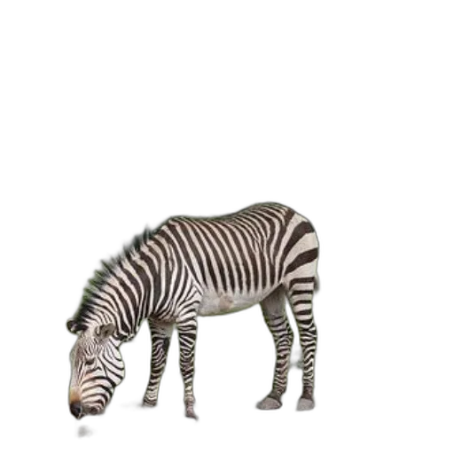 animal, creature, staff, weapon transparent PNG cut-out