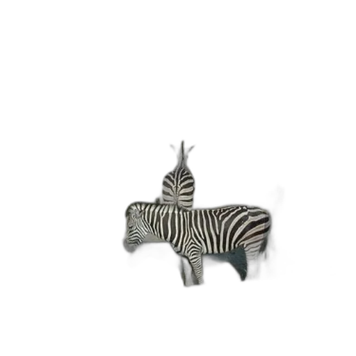 animal, creature, jewelry, staff transparent PNG cut-out