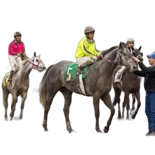 staff, animal, jacket, jockey transparent PNG cut-out