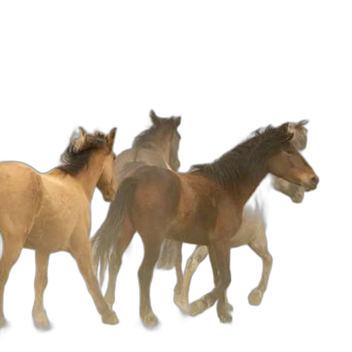 animal, 3d render, photorealistic, concept art transparent PNG cut-out