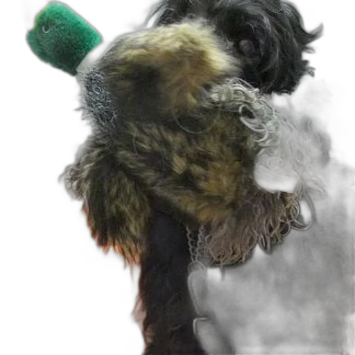 animal, staff, hat, creature transparent PNG cut-out