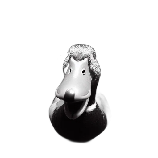 animal, mask, hat, face transparent PNG cut-out