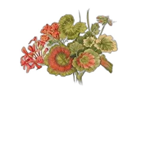 crown, flower, jewelry, staff transparent PNG cut-out