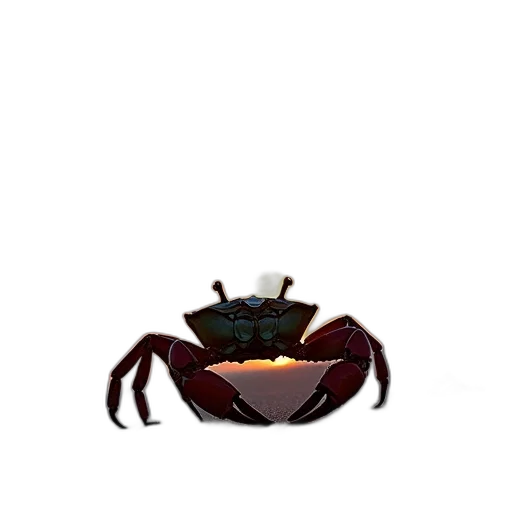 creature, animal, crown, food transparent PNG cut-out