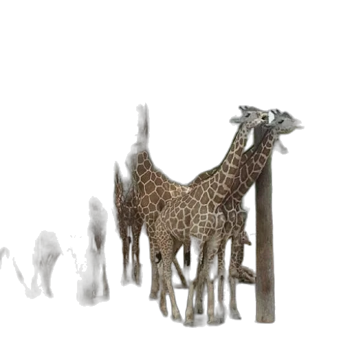 animal, creature, staff, weapon transparent PNG cut-out