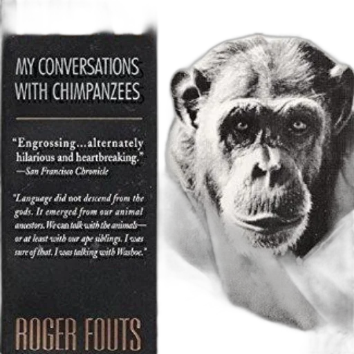 book, cover, featuring, chimpanzee transparent PNG cut-out