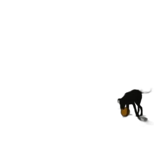 animal, shoes, furniture, staff transparent PNG cut-out