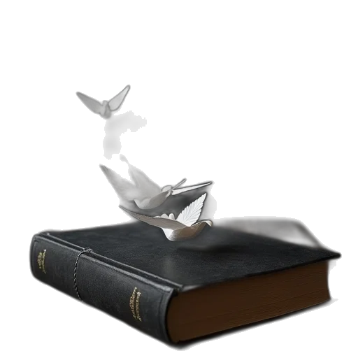 weapon, shoes, furniture, photorealistic transparent PNG cut-out