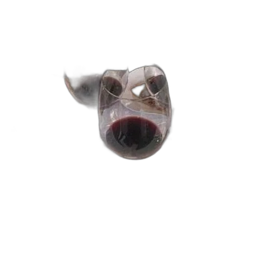 mask, animal, face, dragon transparent PNG cut-out