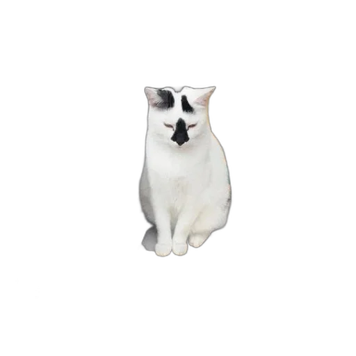 animal, staff, creature, face transparent PNG cut-out