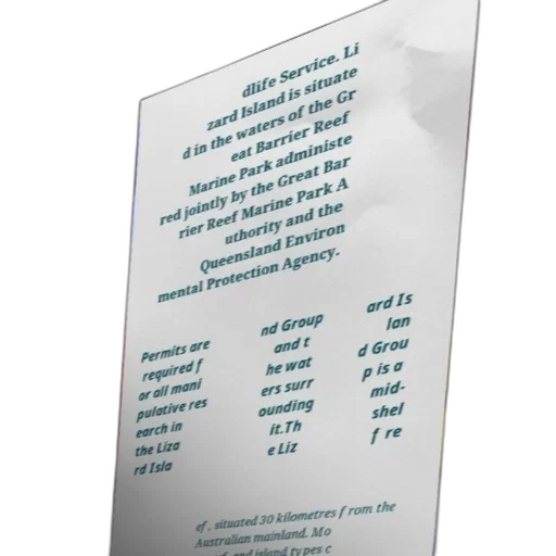 text-based, image, discussing, lizard transparent PNG cut-out