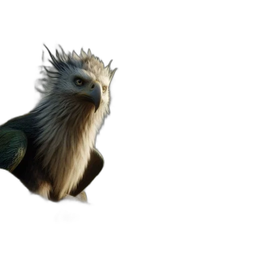 dragon, animal, creature, hair transparent PNG cut-out