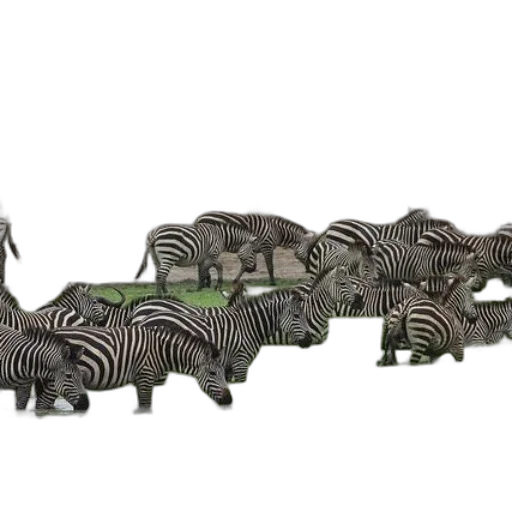 animal, furniture, 3d render, concept art transparent PNG cut-out