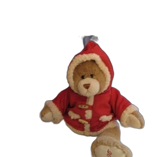 jacket, 3d render, teddy, bear transparent PNG cut-out