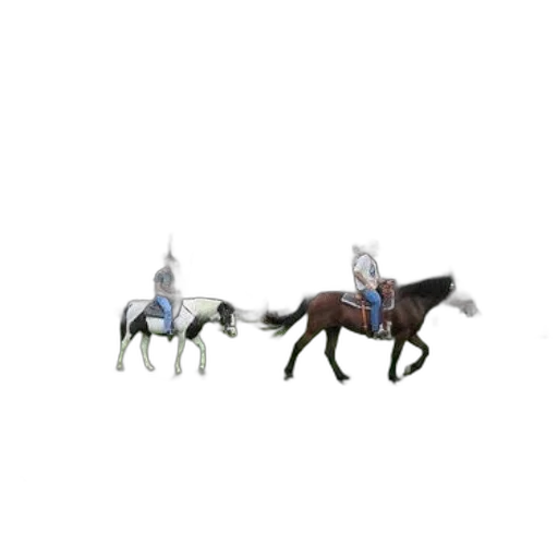 animal, staff, crown, sword transparent PNG cut-out