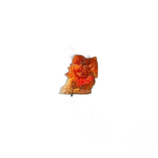 flower, food, crown, jewelry transparent PNG cut-out