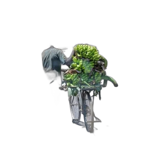 creature, staff, dragon, animal transparent PNG cut-out