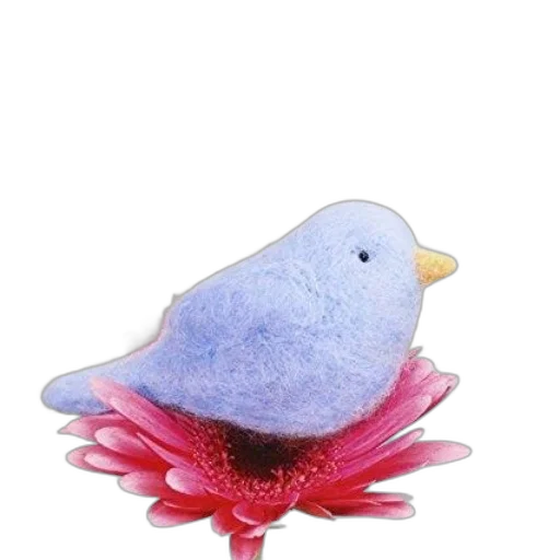 flower, animal, hat, jewelry transparent PNG cut-out