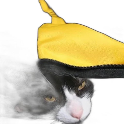 hat, crown, animal, staff transparent PNG cut-out
