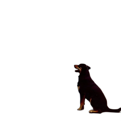 animal, creature, dragon, staff transparent PNG cut-out