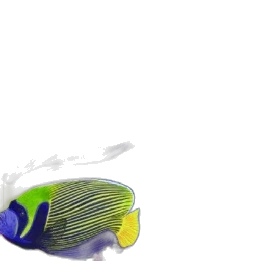 shoes, weapon, animal, mask transparent PNG cut-out