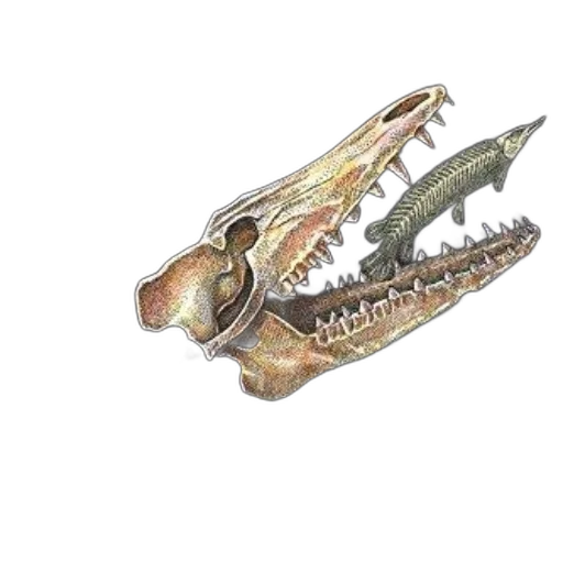 dragon, weapon, jewelry, animal transparent PNG cut-out