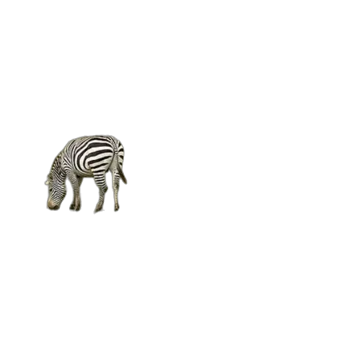 animal, creature, furniture, jewelry transparent PNG cut-out