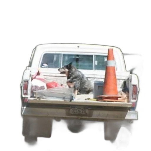 car, staff, animal, robot transparent PNG cut-out