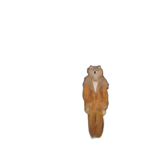 animal, creature, jacket, staff transparent PNG cut-out
