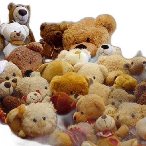 animal, large, collection, teddy transparent PNG cut-out