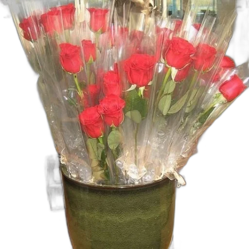 flower, bottle, crown, 3d render transparent PNG cut-out