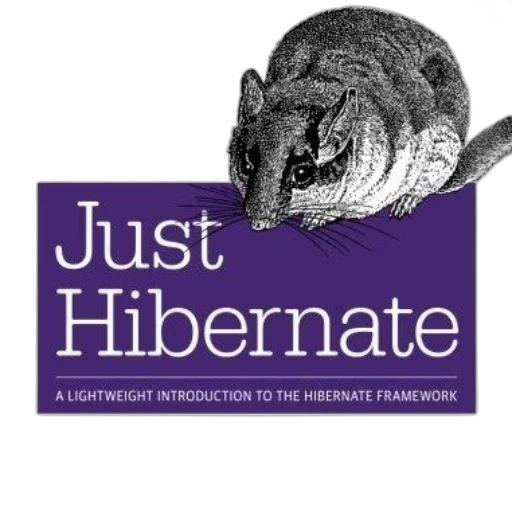 just, hibernate, lightweight, introduction transparent PNG cut-out