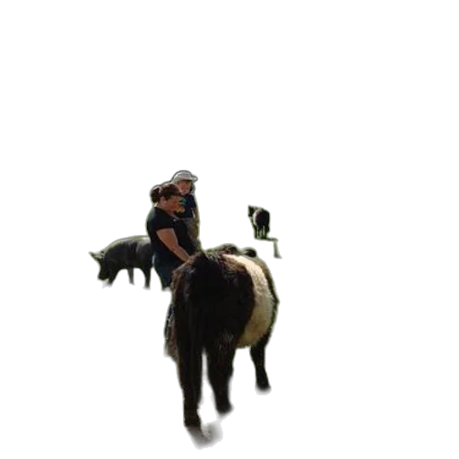 animal, creature, staff, concept art transparent PNG cut-out