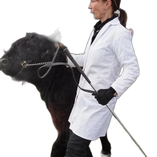 staff, animal, jacket, sword transparent PNG cut-out