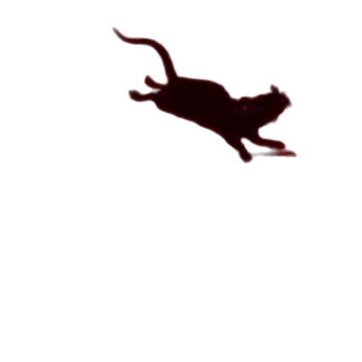 animal, creature, dragon, hat transparent PNG cut-out