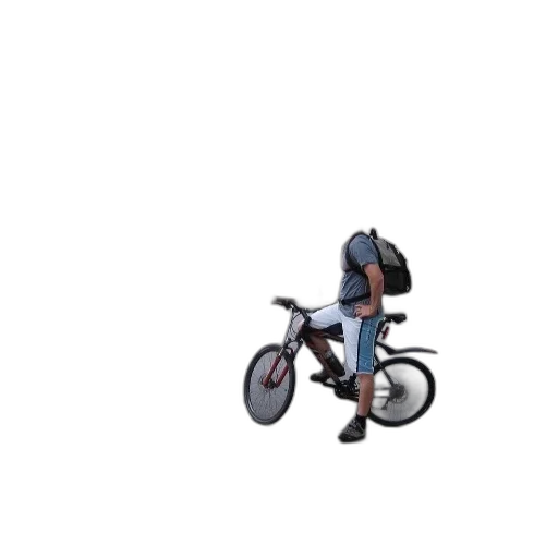 animal, creature, jacket, car transparent PNG cut-out