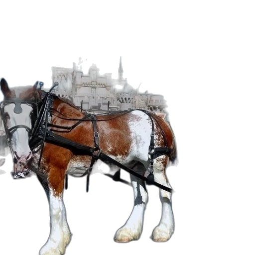 animal, photorealistic, concept art, 3d render transparent PNG cut-out