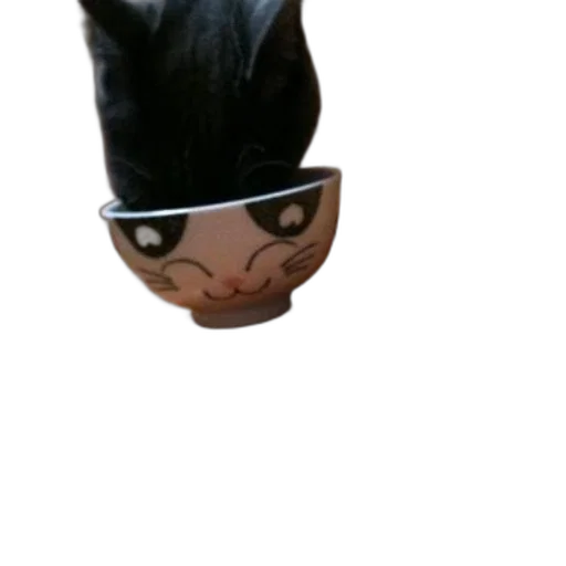 mask, hat, face, animal transparent PNG cut-out
